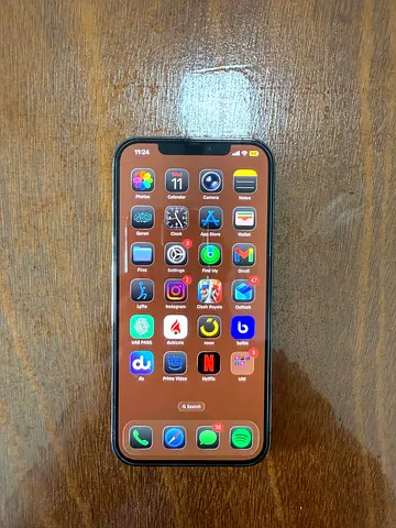 iPhone 12 Pro Max