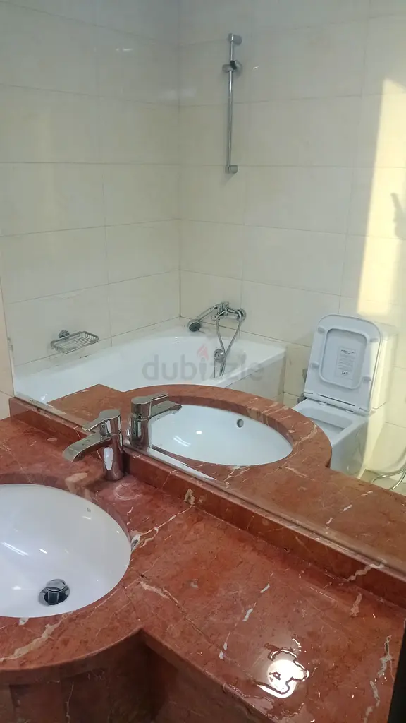 DPV_View_Image_1
