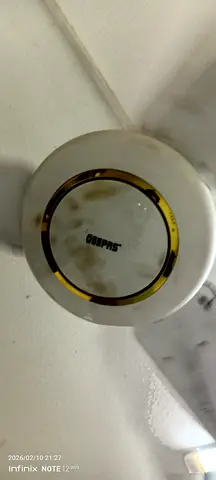 Quality Ceiling Fan with Remote Control