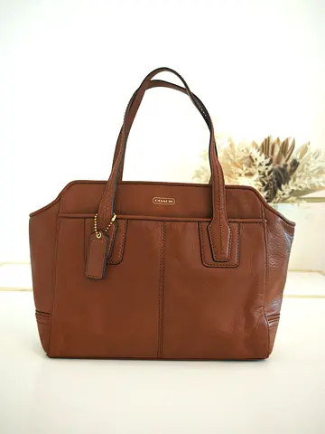 Coach Taylor Leather Mini Tote Crossbody Handbag