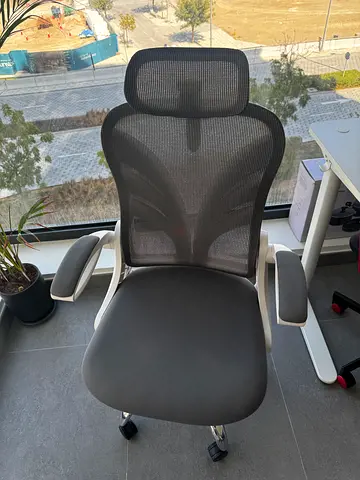 Ergonomic Office Chair with Mesh Back