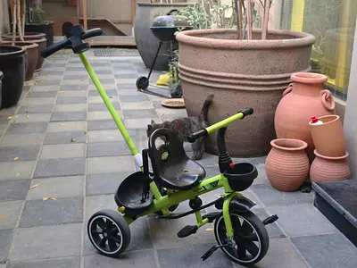 Toddler bike