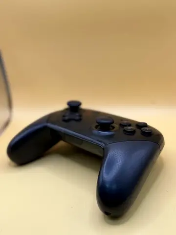 Nintendo switch pro controller
