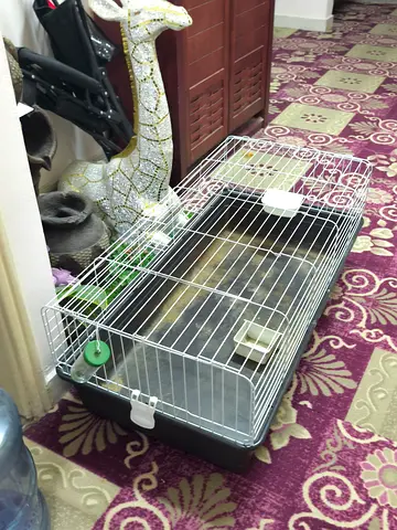 Rabbit Cage for Sale