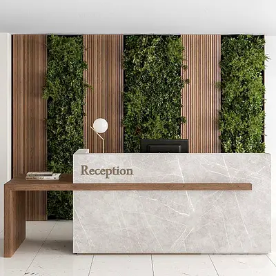 Luxorious Hotel reception