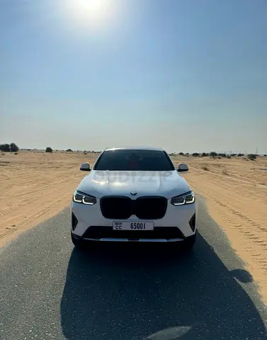 BMW X4 2.0. 2023