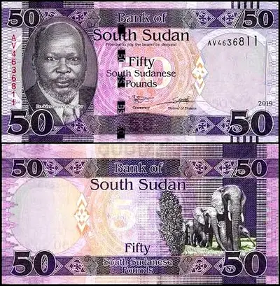 Banknotes south sudan
