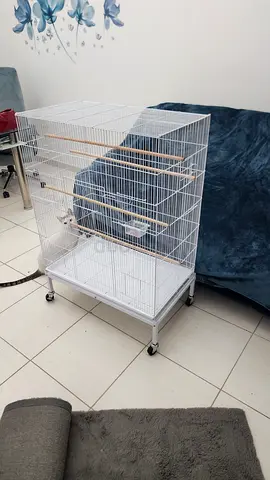 Unused parrot cage