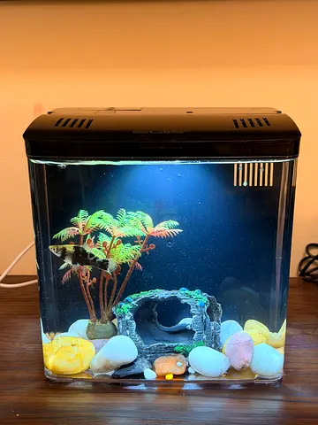 Mini aquarium full set
