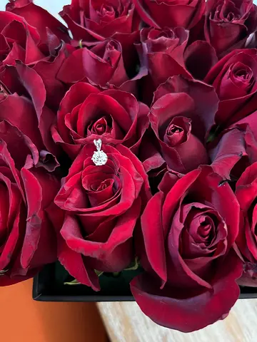 Diamond pendant without chain