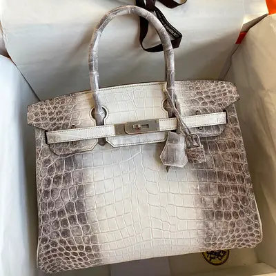 Hermes Birkin 30 In Himalaya Niloticus Crocodile Skin