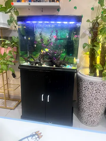 Beautifully Decorated Aquarium for Sale not included fish