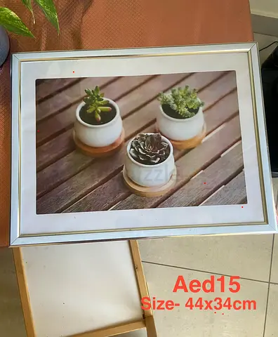 Framed Art Print of Succulents