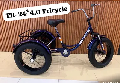 4.0 TR-24 Tricycle for Sale