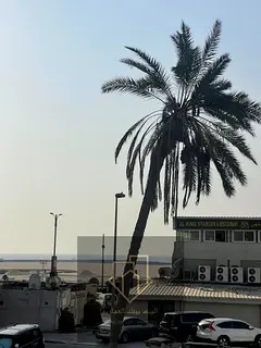Excellent location | Flexible payment plans | Great price | Sea view
