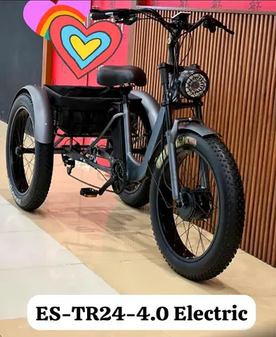 ES-TR24-4.0 Electric Tricycle for Sale