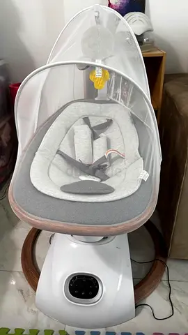 Gentle Baby Swing with Mosquito Net