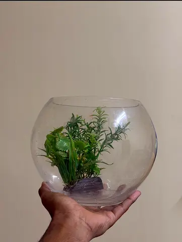 Fish bowl