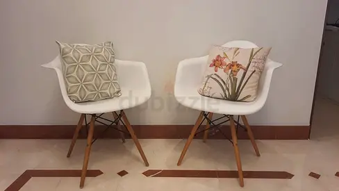 Stylish Modern Chairs with Cushions