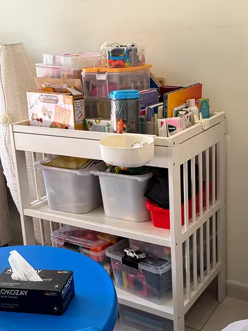 Essential Baby Storage Organizer