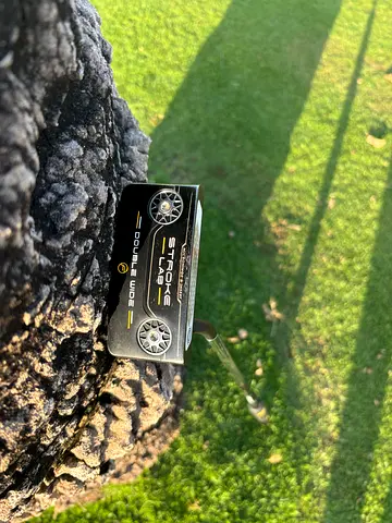 Odyssey double wide putter