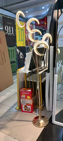 Elegant Modern Floor Lamp with Unique Design