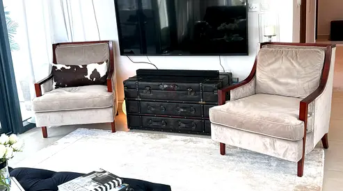 Two sofa chairs