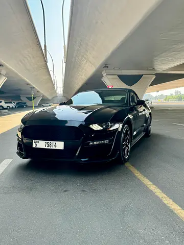 No Deposit | Free Delivery | 24/7 Assistance