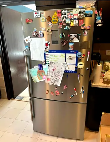 Free delivery Siemens Stainless Steel Refrigerator with Family-Friendly Features