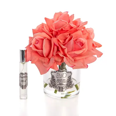 Your Unforgettable ambiance: Luxury home diffuser—pristine condition, exquisite scent