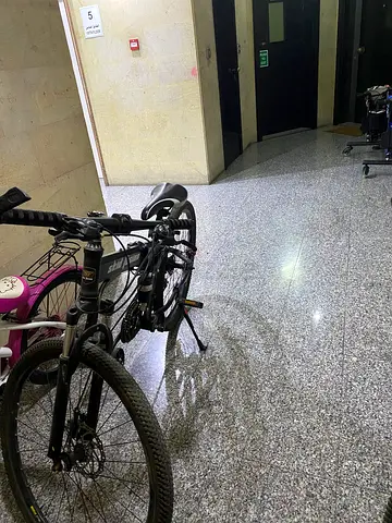 الرياضة