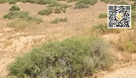 Residential Plot | 3,438 sq ft | G+1+Roof Permit | Al Yasmeen | AED 900,000