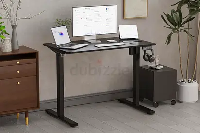 Stylish and Functional Electric Standing Desk(100*60 BLACK)