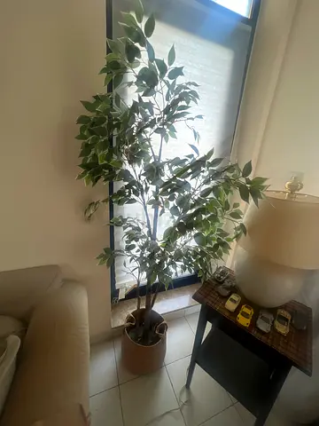 Artificial plant