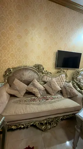 Elegant Vintage Sofa with Cushions