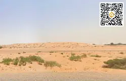 Massive Industrial Land | Cash Sale | 79,120 sq ft | Al Saja'a | AED 14.7M