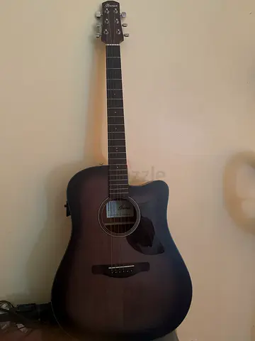 acoustic guitar