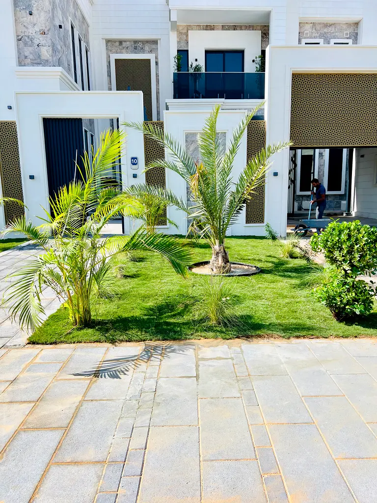 DPV_View_Image_2