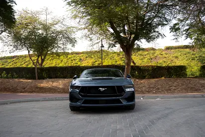 ZERO DEPOSIT-CRYPTO PAYMENT OPTION - NO HIDDEN CHARGES 24/7 CUSTOMER SUPPORT