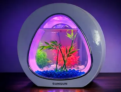 SUNSUN Aquarium Fish Tank with LED Lighting – Like New Condition