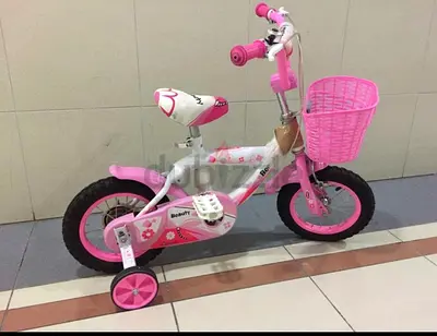 Girls Bicycle with Basket