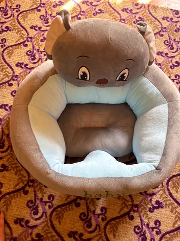 Baby sitter sofa cum chair