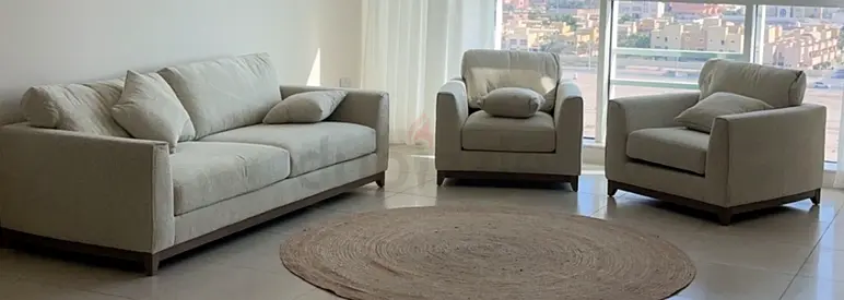 Stylish Sofa and Armchair Set