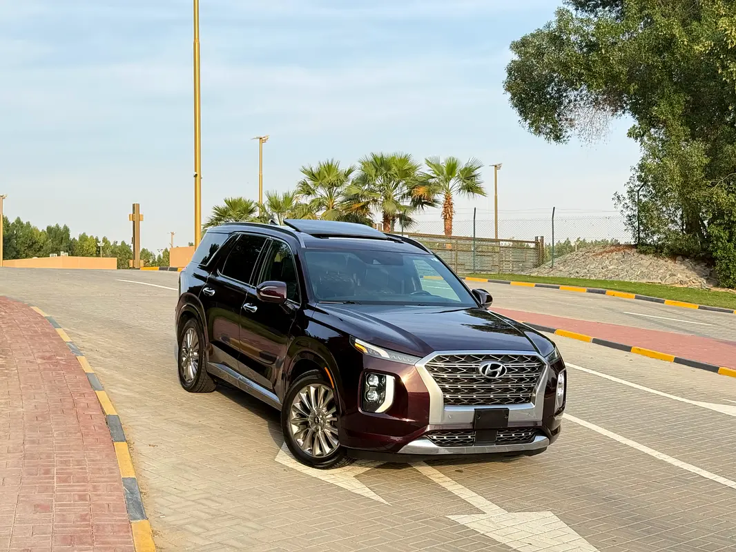 Hyundai Palisade 2020 — photo 1 of 19