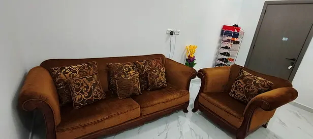 Elegant Brown Velvet Sofa with Decorative Cushions
