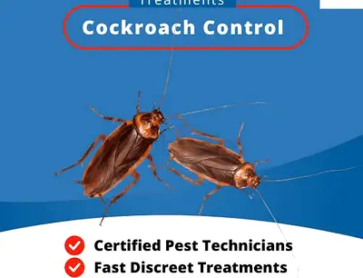 Pest control service