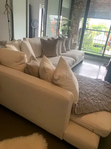 Camerich feather filled Sectional L shape sofa