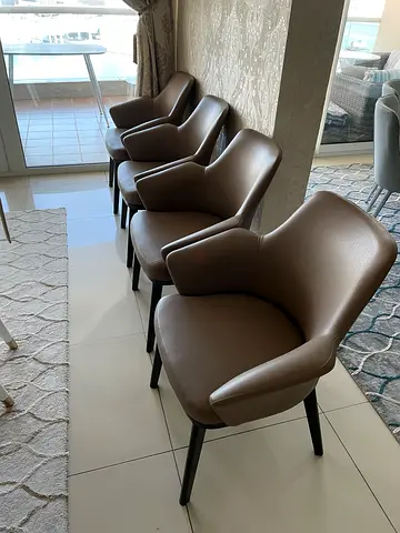 Designer Chair set
