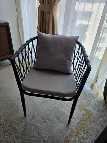Stylish Wire Frame Accent Chair