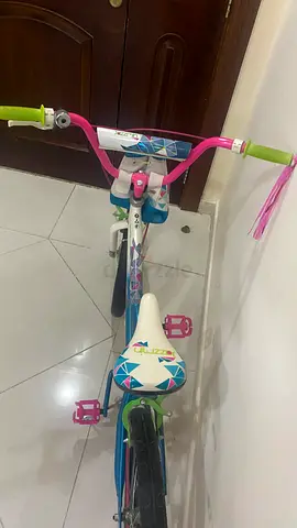 Colorful Girls Bike from Toys R Us